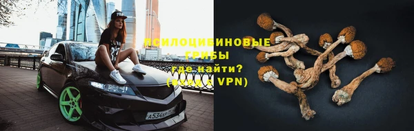 jwh Аркадак